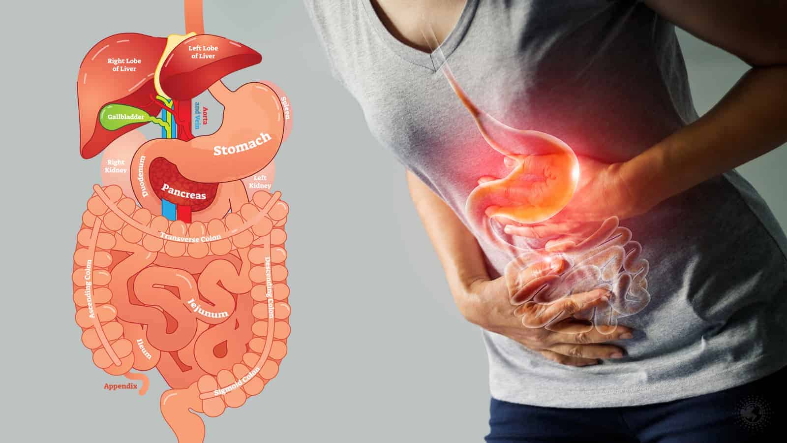 Gastrointestinal and Other Hepatic Disorders in Pregnancy (Related Liver Disorders), Dysfunction in Pregnancy